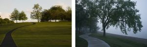 Paths park.jpg